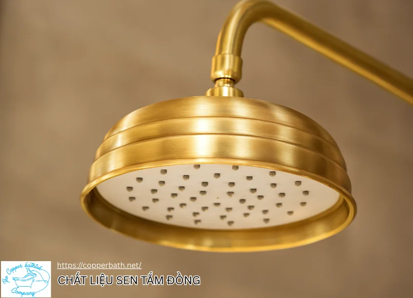 Top 5 Loại Vòi Sen Xả Bồn (Sen Đặt Sàn) Đẹp Nhất Cho Bồn Tắm Đồng Chat lieu sen tam dong